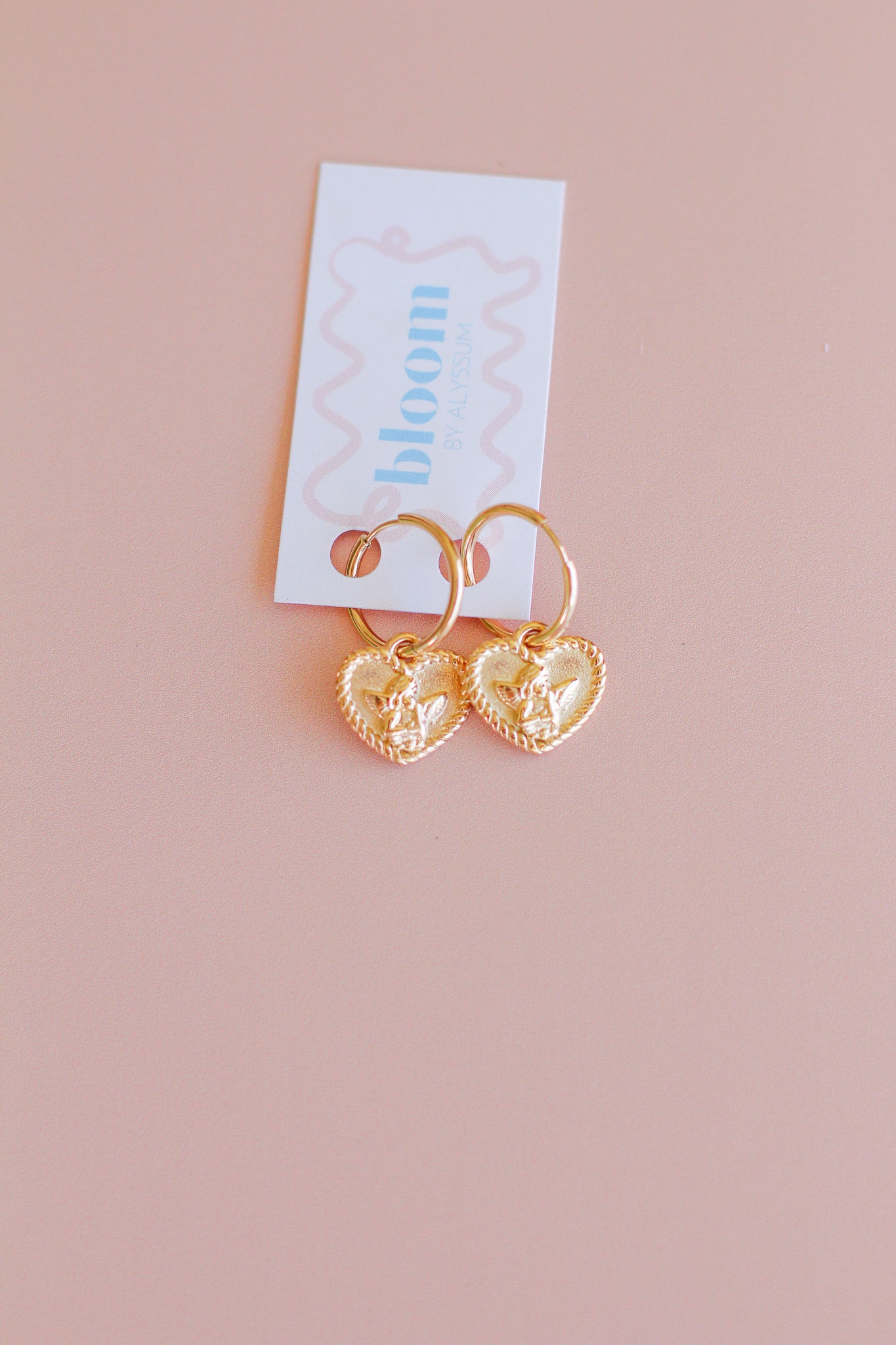 🎉soar - cherub heart hoops