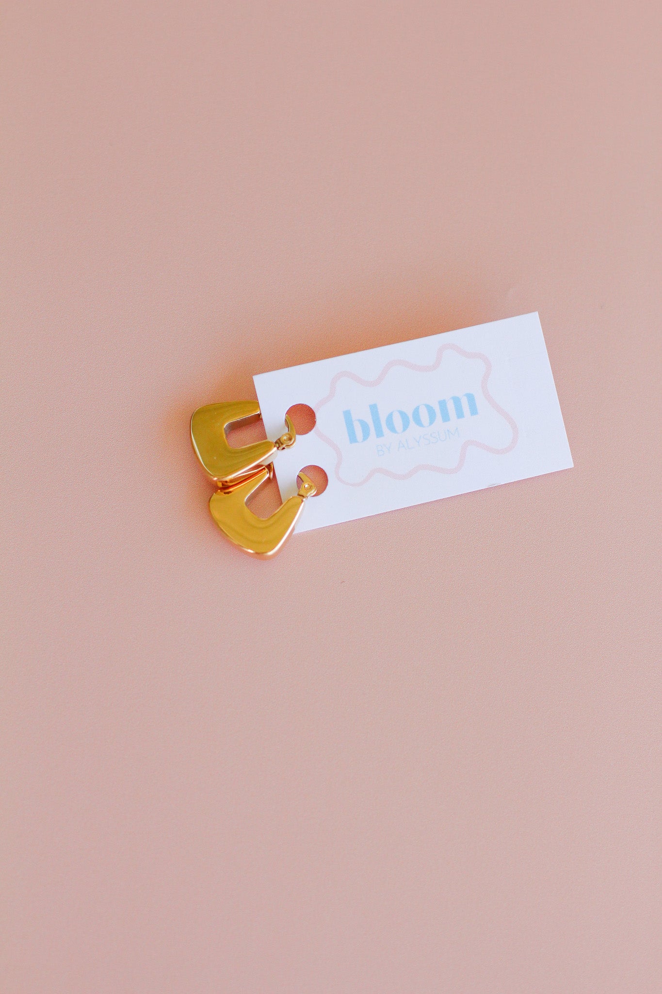 🎉secure - lock hoops